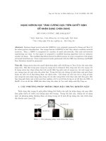 Mạng nơ ron học tăng cường dựa trên quyết định để nhận dạng chân dung. ppt