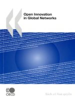 open innovation in global networks potx