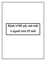 Bệnh AMD gây mù mắt ở người trên 55 tuổi ppt