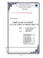 tiểu luận chiến lược tài chính của các công ty trong thực tế