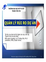 Quản lý rủi ro dự án