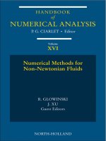 numerical methods for non-newtonian fluids