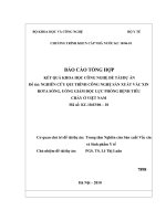 Nghiên cứu quy trình công nghệ sản xuất vắc xin rota sống, uống giảm độc lực phòng bệnh tiêu chảy ở việt nam