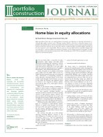 aust vs int'l equity portfolio journal