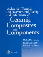 mechanical, thermal and environmental testing and performance of ceramic composites and components