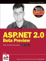 asp .net 2 beta preview