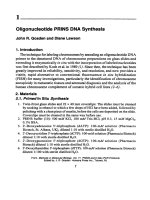 prins and in situ pcr protocols