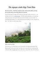 Du ngoạn cảnh đẹp Tam Đảo pot