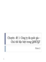 Công ty đa quốc gia – Chủ thể đặc biệt trong QHKTQT potx