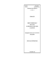 Nghiên cứu mô hình dự báo lũ sông Cửu Long dựa trên đánh giá vai trò tác động các nguồn nước.