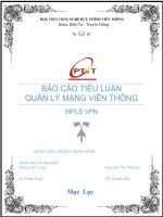 TRIỂN KHAI THỰC TẾ VÀ BẢO MẬT MPLS VPN