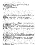 Bản hướng dẫn học sinh giỏi ôn thi cấp huyện