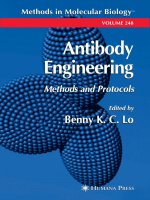 antibody engineering, methods and protocols