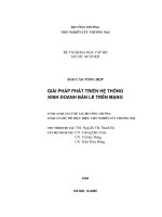 Giải pháp phát triển hệ thống kinh doanh bán lẻ trên mạng