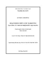 Đề tài: Hoạch định chiến lược marketing tại công ty trách nhiệm hữa hạn Dawa doc