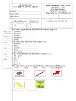 Kiểm tra định kỳ lần 2 - CKII môn tiếng anh lớp 2 - trường tiểu học Thị Trấn Vũng Liêm doc