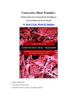 convective heat transfer mathematical and computational modelling of viscous fluids and porous media