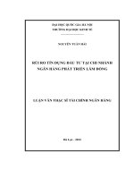 rủi ro tín dụng đầu tư tại chi nhánh ngân hàng phát triển lâm đồng
