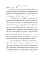 Đề tài  khóa luận :  Lên men lactic sản phẩm salad cà chua