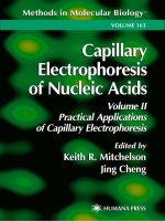capillary electrophoresis of nucleic acids, volume ii
