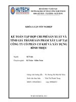 kế toán tập hợp chi phí sản xuất và tính giá thành sản phẩm xây lắp tại công ty cổ phần cơ khí và xây dựng bình triệu