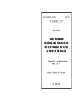 Nghiên cứu ứng dụng một số phẫu thuật phân lưu cửa - chủ điều trị dự phòng chảy máu tái phát do tăng áp lực tĩnh mạch cửa