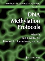 dna methylation protocols