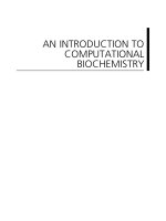 an introduction to computational biochemistry - jeremy j. ramsden