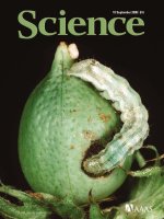 science magazine 2008-09-19