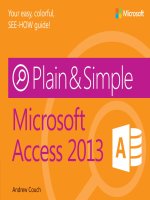 microsoft press access 2013 plain and simple