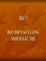 Giáo án sinh học lớp 9 Đột biến số lượng nhiễm sắc thể