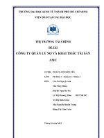Công ty quản lý nợ và khai thác tài sản AMC