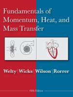 fundamentals of momentum, heat, and mass transfer 5th edition