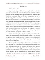 Biện pháp hạn chế rủiro tín dụng tại Ngân hàng Nông nghiệp và Phát triển Nông thôn Việt Namchi nhánh Vĩnh Phúc