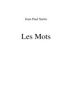 philosophie - sartre - les mots