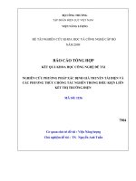 Báo cáo khoa học : Xác định giá chuyển tải điện và các phương thức chống tắc nghẽn trong điều kiện liên kết thị trường điện
