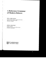 a reference grammar of modern hebrew