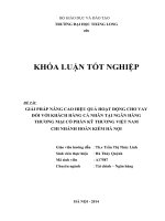 GIẢI PHÁP NÂNG CAO HIỆU QUẢ HOẠT ĐỘNG CHO VAY ĐỐI VỚI KHÁCH HÀNG CÁ NHÂN TẠI NGÂN HÀNG THƯƠNG MẠI CỔ PHẦN KỸ THƯƠNG VIỆT NAM CHI NHÁNH HOÀN KIẾM HÀ NỘI
