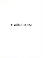 Bí quyết đạt IELTS 8.5 potx