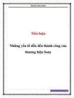 Tiểu luận: Những yếu tố dẫn đến thành công của thương hiệu Sony pot