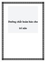 Dưỡng chất hoàn hảo cho trí não ppt