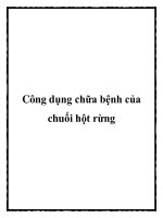 Công dụng chữa bệnh của chuối hột rừng docx
