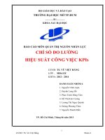 BÁO CÁO MÔN QUẢN TRỊ NGUỒN NHÂN LỰC CHỈ SỐ ĐO LƯỜNG HIỆU SUẤT CÔNG VIỆC KPIs