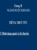 Giáo án tham khảo sinh học 7 Tiết 8 Thủy tức