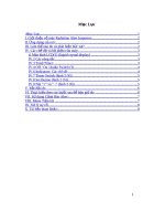 Cách sử dụng máy đo kiểm soát bức xạ xách tay