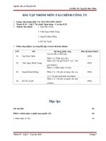 PHÂN TÍCH VỀ NGUỒN VỐN VÀ CHI PHÍ SỬ DỤNG VỐN