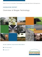 Biogas technology
