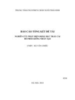 nghiên cứu phát hiện động dục trấu cái để phối giống nhân tạo