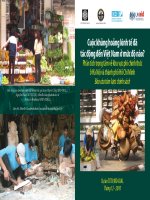 Cuộc khủng hoảng kinh tế đã tác động đến Việt nam ở mức độ nào