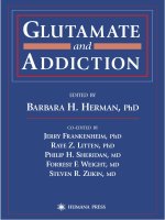 glutamate and addiction